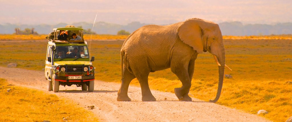 safaris-fred-homepage-safari-kenya-tanzanie-2