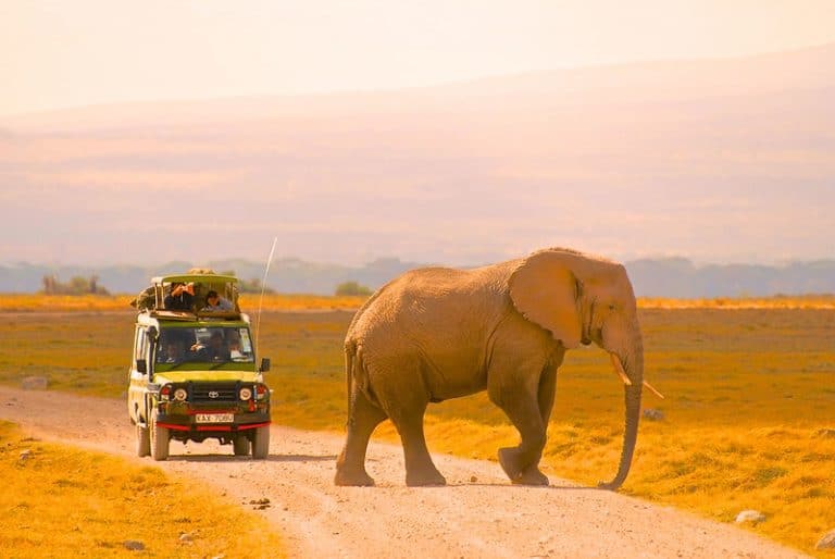 Au départ de Nairobi – Massai Mara, Lac Naivasha, Amboseli, Tsavo et séjour Océan Indien